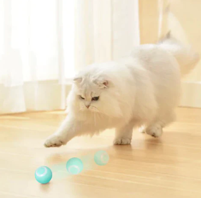 Megnic - Smarter Katzenball